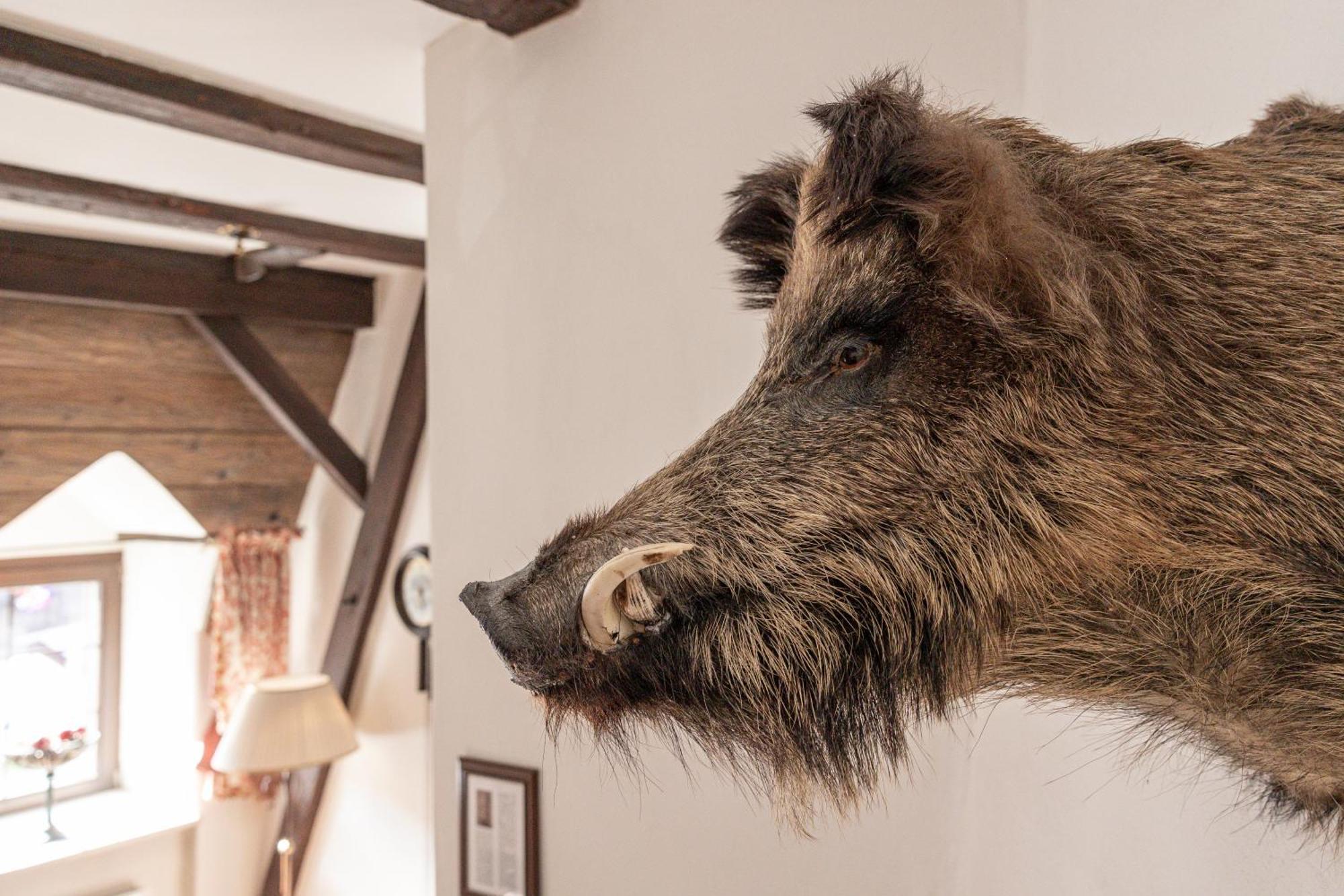 Aparthotel Ansitz Felsenheim レルモース エクステリア 写真